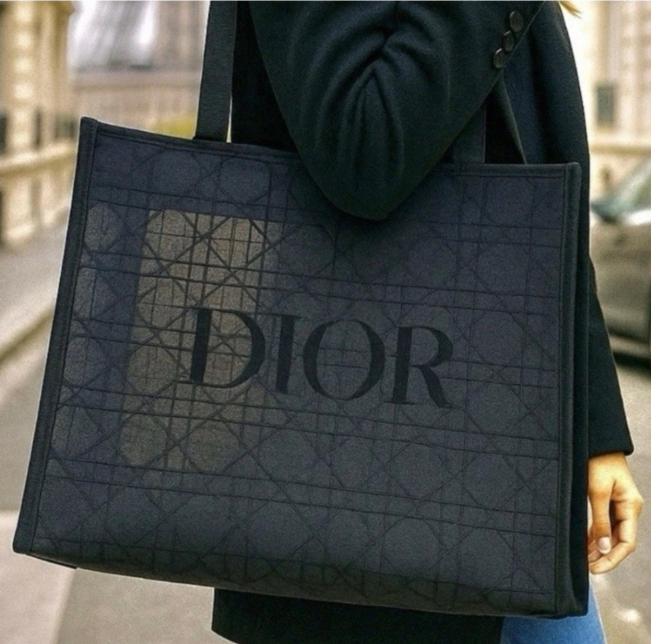 Dior black mesh bag