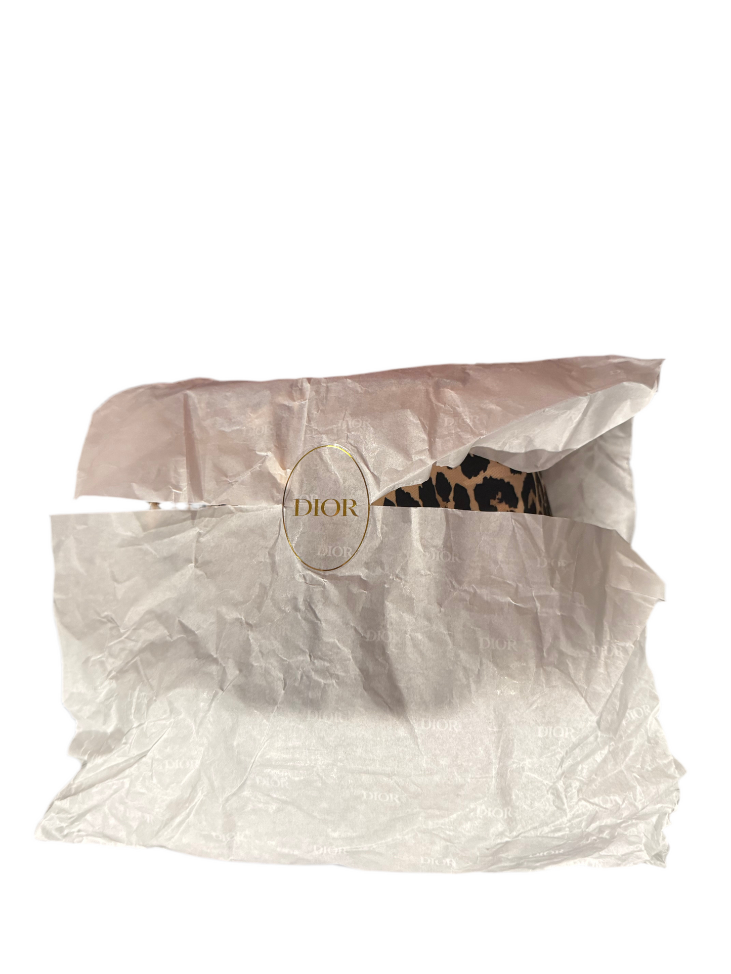 Dior bucket bag